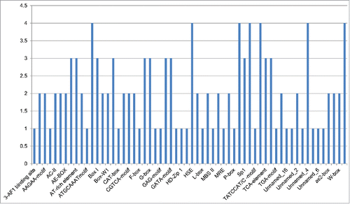 Figure 10. Chart showing the number of cis-elements identified in TM-START proteins of chickpea. The analysis was carried out using PlantCARE program. The name of the selected motifs are provided in the supplementary table.