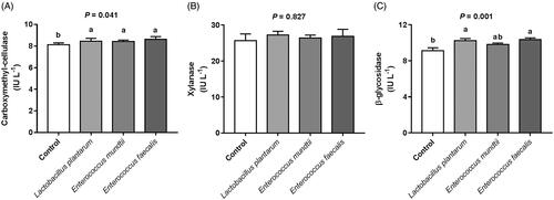 Figure 1. Cellulase activity of incubation fluid after 72 h in vitro incubation of alfalfa silage. (A) carboxymethyl-cellulase. (B) xylanase. (C) β-glycosidase. The error bars represent standard error of the mean (n = 4). Different letters in each figure panel indicate significant difference (p < 0.05).
