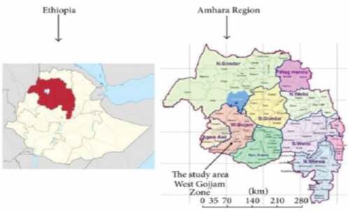 Figure 2. Study Area (Ethiopia, Amhara Region, West Gojjam Zone).