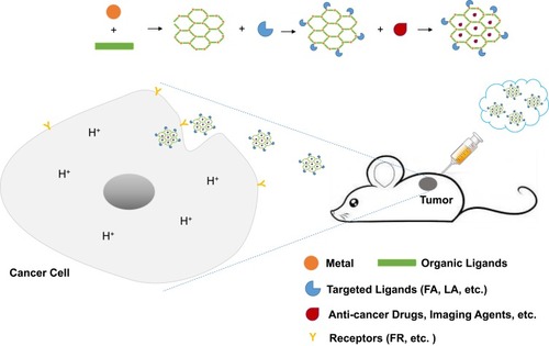 Figure 2 Schematic presentation of the synthesis and the implication of NMOFs in cancer theranostics.Abbreviations: FA, folate acid; LA, lactobionic acid.