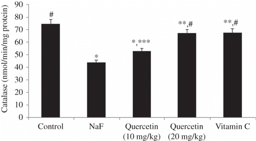 Figure 3. Effect treatment on catalase levels in sodium fluoride (NaF) intoxicated rat. Data are mean ± SD values (n = 10). Notes: *p < 0.001 versus control; **p < 0.05 versus control; ***p < 0.05 versus NaF; #p < 0.001 versus NaF.