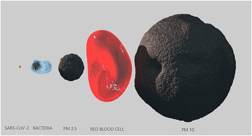 Figure 1. Coronavirus, bacteria, red blood cell and particulate matter dimensions. Image taken from #seetheair website.