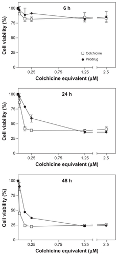 Figure 2 In vitro cytotoxicity of colchicine and colchicinoid prodrug. The endothelial cell toxicity of colchicine and the colchicinoid prodrug were determined as a measure of their ability to induce damage to angiogenic vasculature. Human umbilical vein endothelial cells were incubated with colchicine and colchicinoid prodrug at different equivalent concentrations during 6 hours, 24 hours, and 48 hours. Subsequently, the cell viability in respect to the untreated cells was determined by XTT assay. Whereas there was only low reduction in cell viability and no difference between the treatments after 6 hours of incubation, the colchicinoid prodrug was less cytotoxic than colchicine at 24 hours (0.125 μM and 0.25 μM, P < 0.05, two-way analysis of variance) and 48 hours (0.025–0.25 μM, P < 0.05).