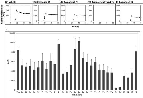 Figure 2. Area under the curve (AUC) of fluorescence curves obtained from PAFA. (A) vehicle condition. (B–E) Representative fluorescence curves by 7f, 7g, 7x, 7y, and 14, respectively. (F) Anti-prion activity of the compounds measured by PAFA. AUC is expressed as mean ± SEM of independent experiments (n = 9). Veh = vehicle condition where DMSO was treated instead of 100 µM compounds.