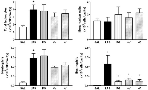 Figure 4. Effect of P. guajava (PG), more (+V) and less (−V) volatile fractions on LPS-induced total leukocyte, mononuclear cells, neutrophils and eosinophils recruitment. Oil (100 mg/kg; hatched columns) or vehicle (open and closed columns) was administered p.o. 1 h prior to LPS (250 ng/cavity) and pleural fluid was collected 24 h later. + and * indicate p < 0.05 when compared to control non-stimulated saline injected (open columns) or LPS-stimulated saline-treated group (closed columns), respectively. Oil (100 mg/kg; hatched columns) or vehicle (open and closed columns) was administered p.o. 1 h prior to LPS (250 ng/cavity) and pleural fluid was collected 24 h later. + and * indicate p < 0.05 when compared to control non-stimulated saline injected (open columns) or LPS-stimulated saline-treated group (closed columns), respectively.