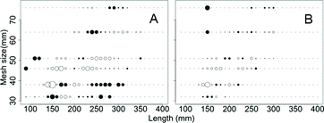 Figure 5. Deviance residual plot for the selection curves fit to female (A) and male (B) yellow perch based on the log-normal distribution (female) and normal with proportional spread (male) for 32, 38, 46, 51, 64, and 76 mm mesh sizes of large mesh gill nets (2010–2012) in southern Lake Michigan. Mesh sizes 32–46 mm were monofilament and 51–76 mm were multifilament. Circles represent residual values (open positive; closed negative), with the area of the circle proportional to the square of the residual.