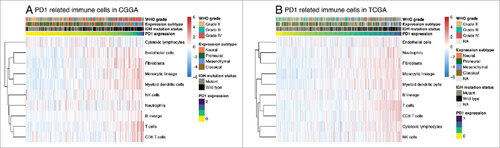Figure 4. Association between PD-1 expression and immune cell populations in CGGA (A) and TCGA (B) datasets.