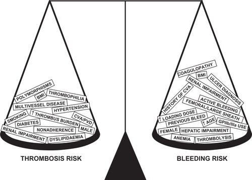 Figure 2 The delicate balance of an individual’s comorbidities: risk of thrombosis versus risk of bleeding.