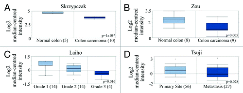 Figure 5. PTPRD expression is reduced in colon cancer and colon cancer metastases. (A and B) PTPRD gene expression in normal tissue vs. cancerous tissue from patient samples. Box-and-whiskers plot with dots representing the high/low values and error bars represent the 90%/10% values. Top and bottom of each box represents the 75%/25% values, and the bar in the middle of the box is the median. The y-axis is normalized mRNA gene expression values that have been log2 transformed. Data was obtained from mRNA studies from (A) Skrzypczak (P = 1 × 10−5) and (B) Zou (P = 0.005) published in Oncomine databases. (C) PTPRD expression in different grades of colorectal adenocarcinoma patient samples from mRNA studies published in Oncomine databases. P = 0.016. (D) Comparison of PTPRD expression from colorectal carcinoma patient samples in both primary (56 patients) and metastasic sites (27 patients). P = 0.028.