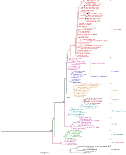 Figure 3. Phylogenetic tree of segment A of 96 selected representative strains of IBDV based on VP2 hypervariable region sequences (nt 785–1150). The tree was generated by the use of a maximum likelihood (ML) tree method and ultrafast bootstrapping with 1000 replicates with the IQ-Tree software (Nguyen et al., Citation2015; Hoang et al., Citation2018). ModelFinder embedded in the IQ-Tree (Kalyaanamoorthy et al., Citation2017) was used to select the best fitted substitution model according to the Bayesian Information Criterion (SYM + I+G4). The tree was visualized in FigTree. The tree is drawn to scale and genotypic information is shown next to the tree. There were 366 positions in total in the final dataset. Isolates under present study are marked with filled circles (●).