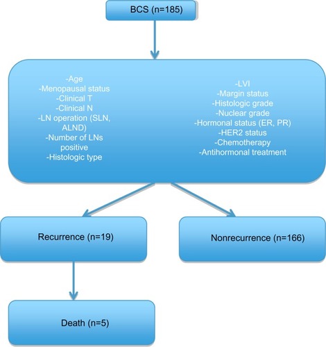 Figure 1 Flowchart shows data collection of breast-conserving surgery patients and divided subgroups.