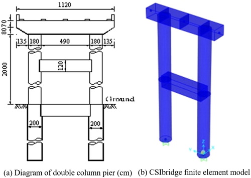 Figure 3. Diagram of double column pier and finite element model. (a) Diagram of double column pier (cm). (b) CSIbridge finite element model.