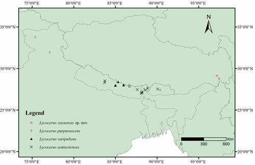 Figure 1. Distribution map of Lycocerus varipubens species-group.