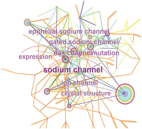 Figure 9. The analysis of keywords on sodium channel research.