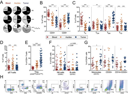 Figure 1. Characterization of general immune cell composition in peripheral blood (n = 35), ascites (n = 30) and tumor tissue (n = 35) of ovarian cancer patients. (A) Median proportion of CD3+ and CD3- cells (gated from lymphocytes), CD4+ and CD8+ T-cells (gated from CD3+ T-cells), and memory/maturation stages of total T-cells (gated from CD3+ T-cells): TN (naïve), TCM (central memory), TEM (effector memory), and TTD (terminally differentiated). Results from Friedman test are presented for each row. All individual values are shown for (B) CD4+ and CD8+ T-cells; (C) maturation stages of total T-cells; (D) γδ T-cells; E) regulatory T-cells (Treg, defined as CD4+/CD25highCD127-/low); (F) NK-cells and B-cells; and (G) CD14+ monocytes; myeloid marker CD33 and co-expression of CD14/CD33. (H) Representative plots from all presented populations are shown from patient 45, values in plots represent percentages. Significant differences were obtained by Wilcoxon signed rank test followed by Bonferroni correction. Median values and interquartile ranges are plotted in graphs. Significance levels were set to p < 0.05 (*), p < 0.01 (**), and p < 0.001 (***).