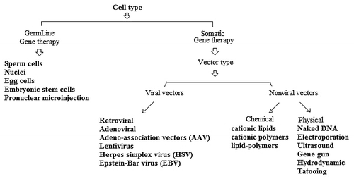 Figure 1. Schematic illustration on different vectors-mediated gene delivery.