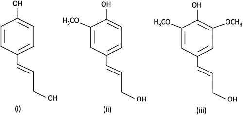 Figure 1. Monomeric units constituting the biopolymer lignin: (i) p-coumaryl alcohol, also known as p-hydroxycinnamyl alcohol (H) (ii) coniferyl alcohol, or guaiacyl (G), (iii) sinapyl alcohol, or syringyl (S).
