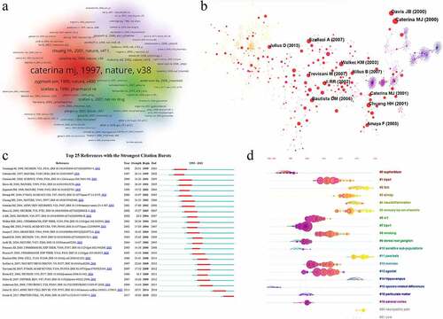 Figure 6. Analysis of co-cited references. (a) the density of co-cited references in TRPV1 channel and inflammation by VOSviewer; (b) the network map of co-cited references in TRPV1 channel and inflammation by CiteSpace; (c) Top 25 references with the strongest citation bursts in this research; (d) the timeline view of the 19 clusters.