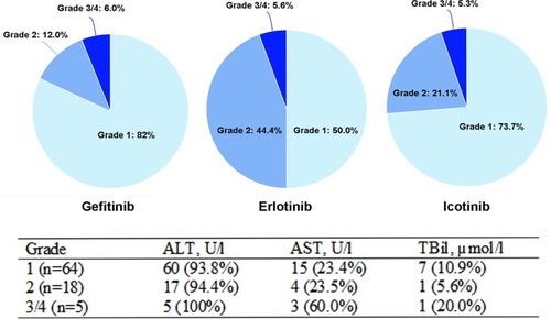 Figure 1 Characteristics of hepatotoxicity in patients receiving first-line EGFR-TKIs.