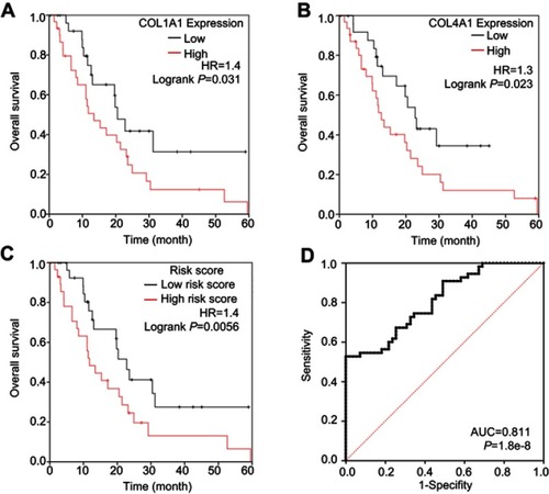 Figure 9 Patients in the in-house cohort were stratified by the median of COL1A1, COL4A1 and risk score. The overall survival rate was analyzed and the diagnostic ability of risk score was analyzed. (A) Meidan of COL1A1 was used as cut-off; (B) Median of COL4A1 was used as cut-off; (C) Median of risk score was used as cut-off. The risk score was calculated by the formula: Risk score=0.45COL1A1+0.48COL4A1; (D) ROC analysis was conducted to further investigate the ability of risk score to distinguish tumor tissues from the non-tumor tissues.