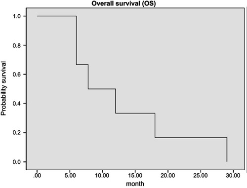 Figure 5 Overall survival (OS) curve.