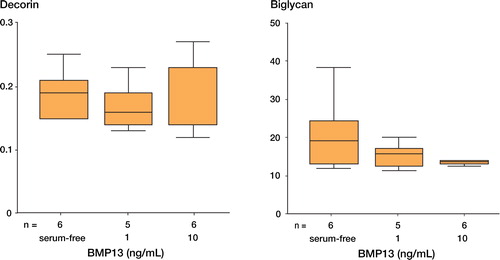 Figure 4. The effects of rhBMP13 on the gene expression of (A) decorin and (B) biglycan by real-time quantitative PCR.Recombinant human BMP13 had no significant effect on the gene expression of biglycan and decorin (p = 0.471 for decorin and p = 0.509 for biglycin by Kruskal Wallis test).The data are expressed as relative ratio with respect to β-actin.
