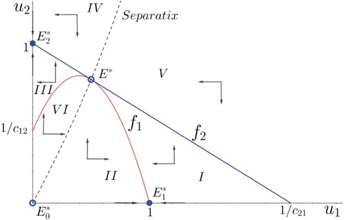 Figure 3. Phase portrait related to tangent nullclines. Solid points denote the locally asymptotically stable equilibrium points E1∗ and E2∗ while the equilibrium E∗ is non-stable.