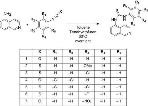 Scheme 1. Synthesized urea/thiourea derivatives.