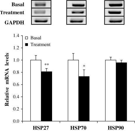 Figure 1. Expression levels of HSP27 and HSP70 genes between pigs fed the basal and the treated diet. Expression levels were determined by RT-PCR and normalised using GAPDH as a housekeeping gene. Values of control groups were normalised to 1.0. Values are mean ± SE (n = 8). Significant difference: *P < 0.05, **P < 0.01. Basal: control feed, Treated: diet supplemented with the fermented feed including carrot by-product.