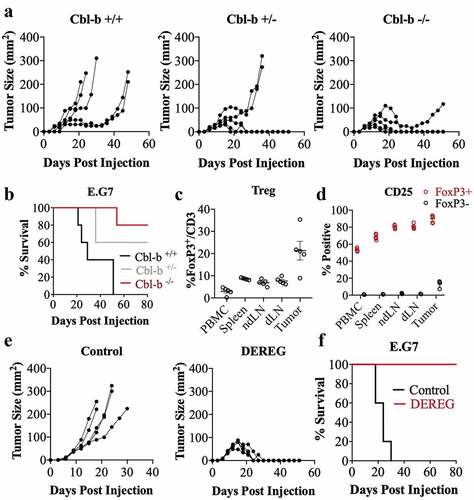 Figure 1. Cbl-b deficiency enhances anti-tumor immunity against E.G7 tumor