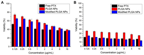 Figure 7 Viability of A549 cells cultured with free-PTX, PLGA NPs and 2-HP-β-CD/PLGA NPs for 24 h (A) and 72h (B). Data are expressed as the means ± standard deviations (n=3).