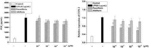 Figure 5. Effects of paeoniflorin and albiflorin on LPS-induced PGE2 production and COX-2 protein expression. RAW 264.7 cells were incubated with the indicated concentrations of paeoniflorin, albiflorin, and 0.2 μg/mL LPS for 24 h. PGE2 production in the culture medium was analyzed by ELISA. The COX-2 protein expression was analyzed by cell-based ELISA. Data represent means ± SD values from three independent experiments. *p < 0.05, **p < 0.01 (n = 6) compared with LPS-treated cells alone.