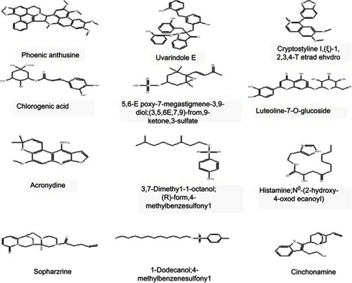 Figure 4 Compounds identified and dereplicated from the methanolic extract of Lampranthus coccineus and Malephora lutea.