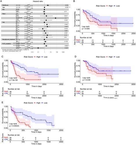 Figure 5. The Risk score was an independent prognostic marker of AML. (A) Multivariate Cox regression analysis results. Compared with reference samples, patients with HR >1 had a higher risk of death. (B and C) Survival curves of female and male AML patients. (D and E) Survival curves of AML patients of ≤55 years old and >55 years old. X-axis: time; Y-axis: survival probability. P was determined by log-rank test.