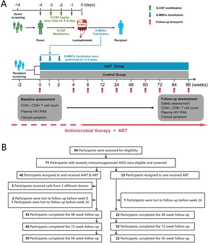 Figure 1. Study design. (A) Flowchart of clinical trial design. After donor screening, G-CSF mobilization and G-MNCs leukapheresis, patients underwent G-MNCs transfusion. Antimicrobial therapy and ART were given as necessary before or after enrolment. (B) Consolidated standards of reporting trials diagram. G-CSF, granulocyte-colony-stimulating factor; G-MNCs, G-CSF mobilized mononuclear cells; ART, antiretroviral therapy.