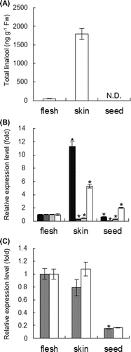 Fig. 2. Organ-specific accumulation of linalool and genes involved in terpenoid biosynthesis.