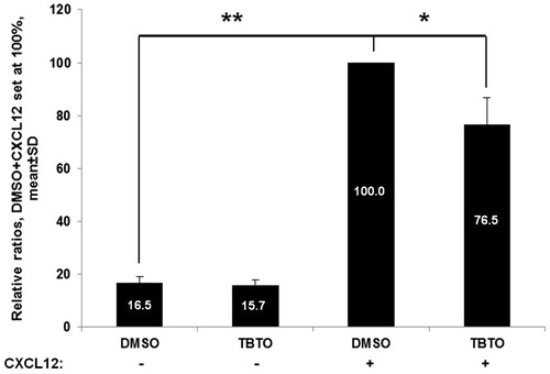 Figure 6. Effects of TBTO on Jurkat cell chemotaxis toward CXCL12. The bar graph shows the effect of TBTO treatment (100 nM) on Jurkat cell chemotaxis. CXCL12 is a potent chemoattractant, as the amount of migrated Jurkat cells increased significantly when CXCL12 was in the basolateral compartment. Upon exposure for 24 h, TBTO decreased the percentage of migrated Jurkat cells to 76.5%. *p < 0.05; **p < 0.01: two sample equal variance t test, two-tailed.