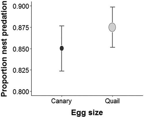 Figure 1. Egg size and nest predation. Canary and quail eggs were preyed upon in similar proportions (X2 = 0.15, df = 1, P = 0.69).
