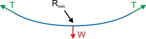 Figure 6. The catenary curve