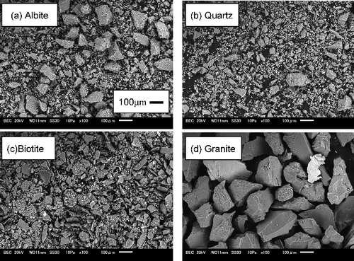 Figure 2. Scanning electron microscope images of the employed solids (×100 magnification).