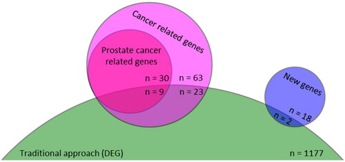 Figure 3. The Venn diagram of the rewired and differentially expressed mRNAs. There were 1177 DEGs and 106 rewired mRNA in traditional and our rewiring approaches. The rewired mRNA could be categorized into cancer-related (n = 86, 81.1%) and new not labelled as cancer-related until us (n = 20, 18.9%) that presented by pink and blue circles, respectively. Thirty-nine of 86 cancer-related mRNA were directly related to prostate cancer. The traditional approaches (green truncated circle) identified two new and 32 cancer-related rewired mRNAs (9 of prostate cancer-related mRNA). DEG: differentially expressed gene.