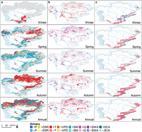 Figure 6. This map shows the drivers that have the maximum effect size at grid and seasonal as well as annual scale on the land surface variables (a) NDVI, (b) SWA, and (c) SCA. The calculation of the causal networks was performed for the meteorological seasons winter, spring summer, and autumn. For the NDVI, additional phenological thresholds were considered as indicated in section 2.3.2. The feature space included the variables precipitation (P), surface solar radiation downward (DSR), temperature (T), vapor pressure deficit (VPD), soil moisture (SM), river discharge (Q), SWA, and SCA. Grids that are colored gray have no significant causal link. The land surface variables were analyzed with a different set of drivers: (a) NDVI: P, DSR, T, VPD, SM, SWA; (b) SWA: P, DSR, T, Q, SCA; (c) SCA: P, DSR, T.