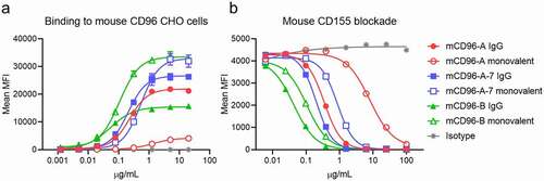 Figure 1. Binding and ligand blocking of anti-mouse CD96 bivalent (filled symbols) and monovalent (open symbols) IgGs on cells. (a) Binding of antibodies to mouse CD96-expressing CHO cells (mean ± SD, n = 3; independent experiments performed three times). (b) Antibody blocking of mouse CD155 tetramers (mean ± SD, n = 2, independent experiments performed three times). All antibodies were expressed in the mIgG1-D265A isotype