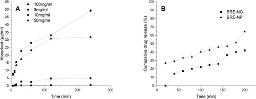 Figure 7 (A) Profiles of cumulative drug release of BRE-NG and BRE-NP nanosuspensions in vitro (n = 3) and (B) nasal absorption of BRE at different concentration of BRE-NG perfusion liquid (n = 3).