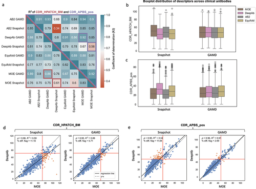 Figure 7. (a) Heatmap displaying the coefficient of determination (R2) for CDR_APBS_pos (above the diagonal) and CDR_HPATCH_BM (below the diagonal) values for 592 clinical antibodies. calculated using AB2, MOE, DeepAb, and equifold static structure models (snapshot), and the same R2 after averaging the values over GaMD simulations (b-c) Distributions of hydrophobic (CDR_HPATCH_BM) and positive patch (CDR_APBS_pos) values across 592 clinical antibodies, as a function of different structure models, for single-static snapshots and GaMD-averaged values. (d-e) Correlations between surface descriptors (CDR_HPATCH_BM and CDR_APBS_pos) derived from DeepAb and MOE structure models for 592 clinical antibodies for snapshot and GaMD-averaged values.
