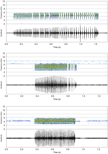 Figure 2. Advertisement call (spectrograms and corresponding oscillograms) of S. exiguus from the Gran Sabana (Bolívar, Venezuela) and the Brazilian state of Roraima (Cantá and Serra do Tepequém, respectively).