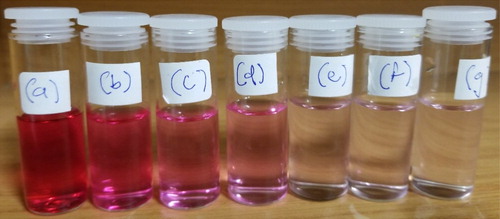 Figure 9. Visual review of color change of the degradation of PR; from red to colorless revealing the degradation of the dye at different time intervals (a) 0 min, (b) 30 min, (c) 60 min, (d) 90 min, (e) 120 min, (f) 150 min and (g) 180 min.