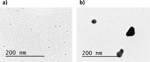 Figure 2. TEM images of (a) Ag_1 mM and (b) Ag_2 mM