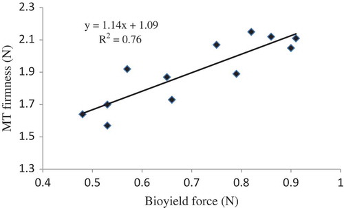 FIGURE 6 Correlation between MT firmness and bioyield force, using the selected probe (E-as) for peach fruit at 9 mm min−1 loading rate.