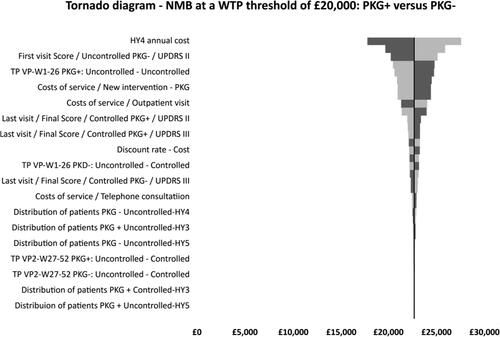Figure 3. Tornado diagram – NMB at a WTP threshold of £20,000: PKG + versus PKG−.